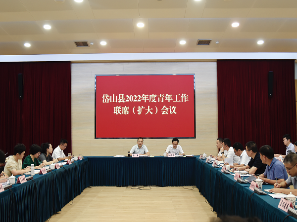 青年工作联席会议照片.png 青年工作联席会议照片.png