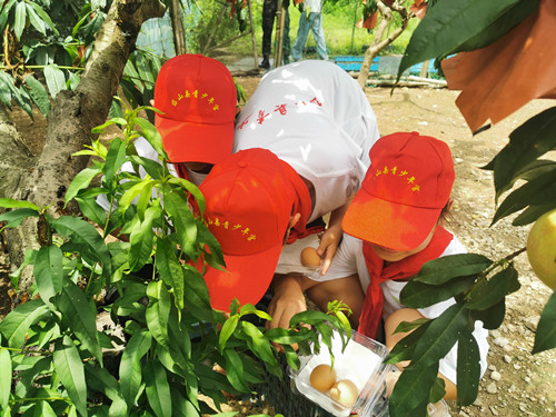 IMG_20230722_125832_副本.jpg